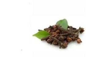 Clove Leaf Essential Oil Size: 15ml Aromatic Scent: Clove Leaf Oil has the characteristic Clove smell, only it is much sharper than Clove Bud with woodsy tones. Emotional/Energetic Qualities: *Warms mind and body *Fosters confidence *Promotes self-assurance *Spicy It has a strong character and can provide emotional support to someone who feels weak and in need of mor energy. Botanical Name: Syzgium aromaticum L Plant Part: Leaves Extraction Method: Steam Distilled Origin: India Color: Clear yellow to dark brown liquid. Consistency: Thin Strength of Aroma: Medium Cautions: Clove Leaf Oil can cause sensitization in some individuals and should be used in dilution. It should also be avoided during pregnancy.