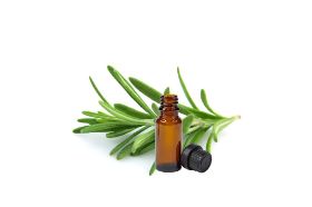 Rosemary Essential Oil. 100% Pure Therapeutic Grade. Size: 15mil Emotional/Energetic Qualities: Stimulates and strengthens the mind Energizes and uplifts Encourages clarity Aroma: Rosemary typically has a strong, fresh, herbal, resinous top note, a herbal, woody, middle note, and a herbal dry out. *** DO NOT use essential oil on the skin without diluting it! *** Most essential oil dilution rates should be 3% or less for topical use (as an example, 3 drops of essential oil to 97 drops of carrier oil). This dilution rate would be considered safe and effective for most aromatherapy applications. Warnings: If pregnant or suffering from illness consult a doctor before use. KEEP OUT OF REACH OF CHILDREN. As with all products, user should test a small amount prior to normal extended use. Oils and Ingredients can be combustible. Use caution when exposing to heat or when laundering linens that have been exposed to this product and then exposed to heat of dryer.