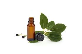 Camphor Essential Oil 15ml Botanical Name: Cinnamomum Camphora Plant Part: Wood Extraction Method: Steam Distilled Origin: China Description: The camphor tree can grow up to 35 meters (100 feet) and camphor is found in every part of the tree. Camphor Essential Oil is extracted by steam from the chipped wood, root stumps and branches. It is then rectified under vacuum and filter-pressed. White camphor oil is the first distillation fraction. Color: Colorless to pale yellow clear liquid. Consistency: Thin Strength of Aroma: Strong Aromatic Scent: Camphor Essential Oil has a strong, penetrating, fragrant odor. Cautions: Camphor oil is powerful oil and should be used with care. Overdosing can cause convulsions and vomiting. Pregnant women or persons suffering from epilepsy and asthma should not use it.