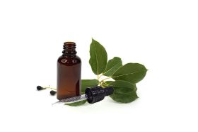Camphor Essential Oil 30ml Botanical Name: Cinnamomum Camphora Plant Part: Wood Extraction Method: Steam Distilled Origin: China Description: The camphor tree can grow up to 35 meters (100 feet) and camphor is found in every part of the tree. Camphor Essential Oil is extracted by steam from the chipped wood, root stumps and branches. It is then rectified under vacuum and filter-pressed. White camphor oil is the first distillation fraction. Color: Colorless to pale yellow clear liquid. Consistency: Thin Strength of Aroma: Strong Aromatic Scent: Camphor Essential Oil has a strong, penetrating, fragrant odor. Cautions: Camphor oil is powerful oil and should be used with care. Overdosing can cause convulsions and vomiting. Pregnant women or persons suffering from epilepsy and asthma should not use it.