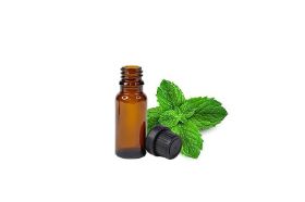 Peppermint Essential Oil Size:15mil Emotional/Energetic Qualities: Clears energy Uplifts the mind to reduce fatigue Awakens, refreshes Stimulates new ideas and creativity Supports self confidence Aroma: Peppermint oil falls into the ‘medicinal’ fragrance category. It has a strong, fresh, penetrating, and mentholic scent, with green and herbaceous notes. Immunostimulant: Peppermint oil has good antioxidant action. Coupled with its antimicrobial actions, this may help stimulate immune function. *** DO NOT use essential oil on the skin without diluting it! *** Most essential oil dilution rates should be 3% or less for topical use (as an example, 3 drops of essential oil to 97 drops of carrier oil). This dilution rate would be considered safe and effective for most aromatherapy applications. Warnings: If pregnant or suffering from illness consult a doctor before use. KEEP OUT OF REACH OF CHILDREN. As with all products, user should test a small amount prior to normal extended use. Oils and Ingredients can be combustible. Use caution when exposing to heat or when laundering linens that have been exposed to this product and then exposed to heat of dryer.