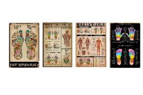 Celebration of Life Metal Signs Massage Therapy Knowledge, Foot Reflexology, Hand & Foot Reflexology Chart Material Metal Mounting Type: Wall Mount Product Dimensions: 12"L x 8"W Shape: Rectangular